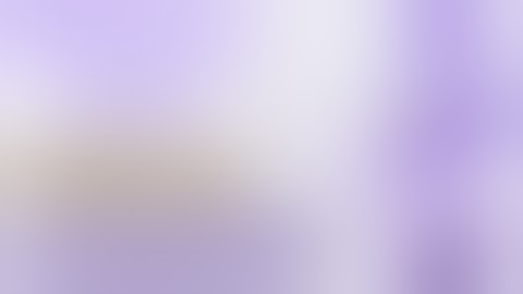 C# Login Form Save Application and Show Password