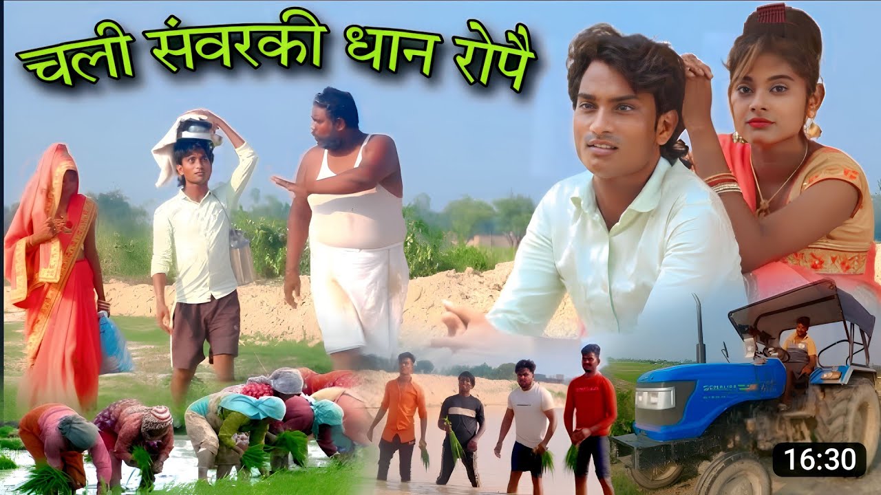 #चली_संवरकी_धान_रोपै 😂फिर आ गई #shailendra_gaur की और एक ट्रेंडिंग वीडियो #Chali_sanvarki_dhan_ropai
