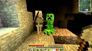 Minecraft Creeper En Skeleton Spacen Out