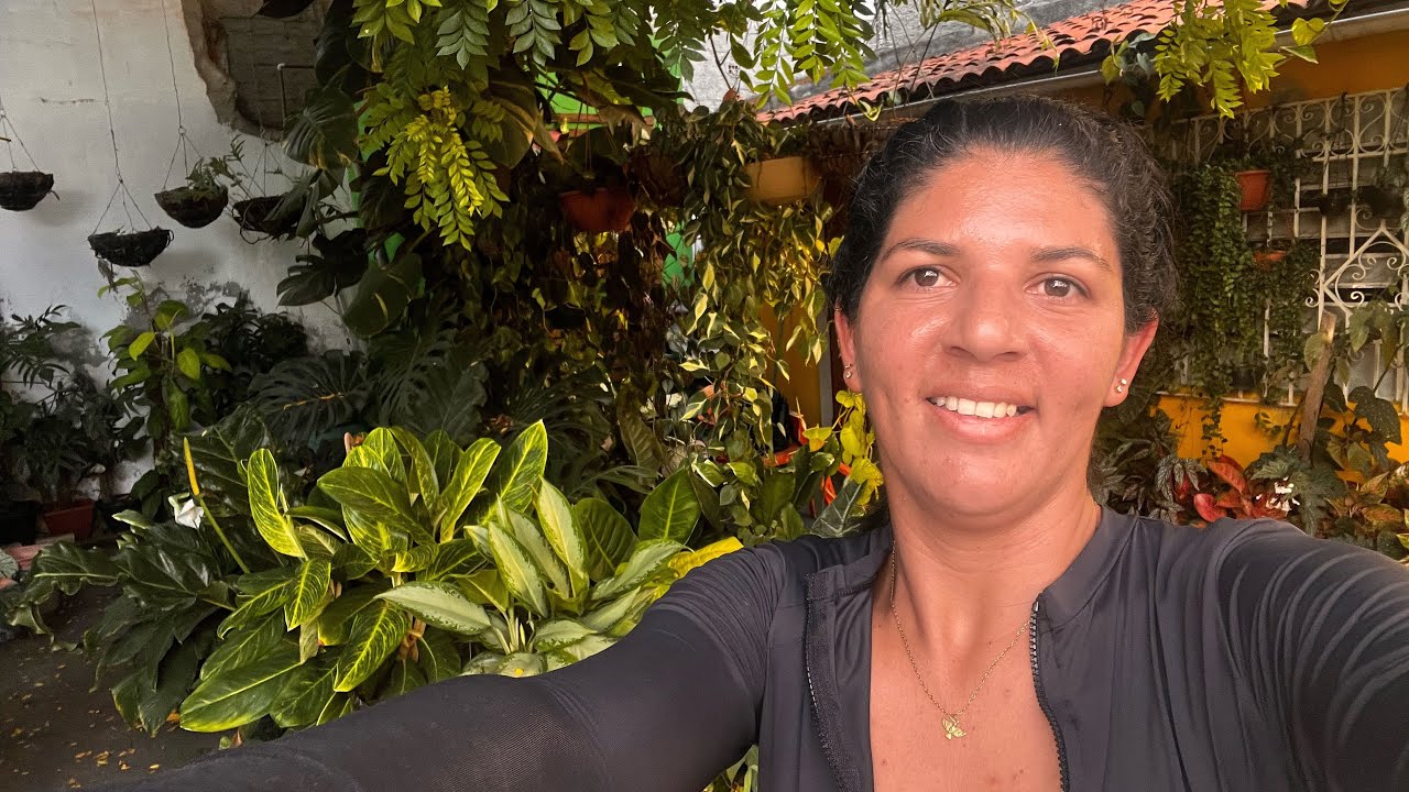 FILODENDROS MARAVILHOSOS + DICAS E REPLANTE DA JADE