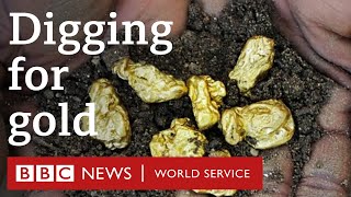 Why can't I find gold in my back yard?  CrowdScience, BBC World Service