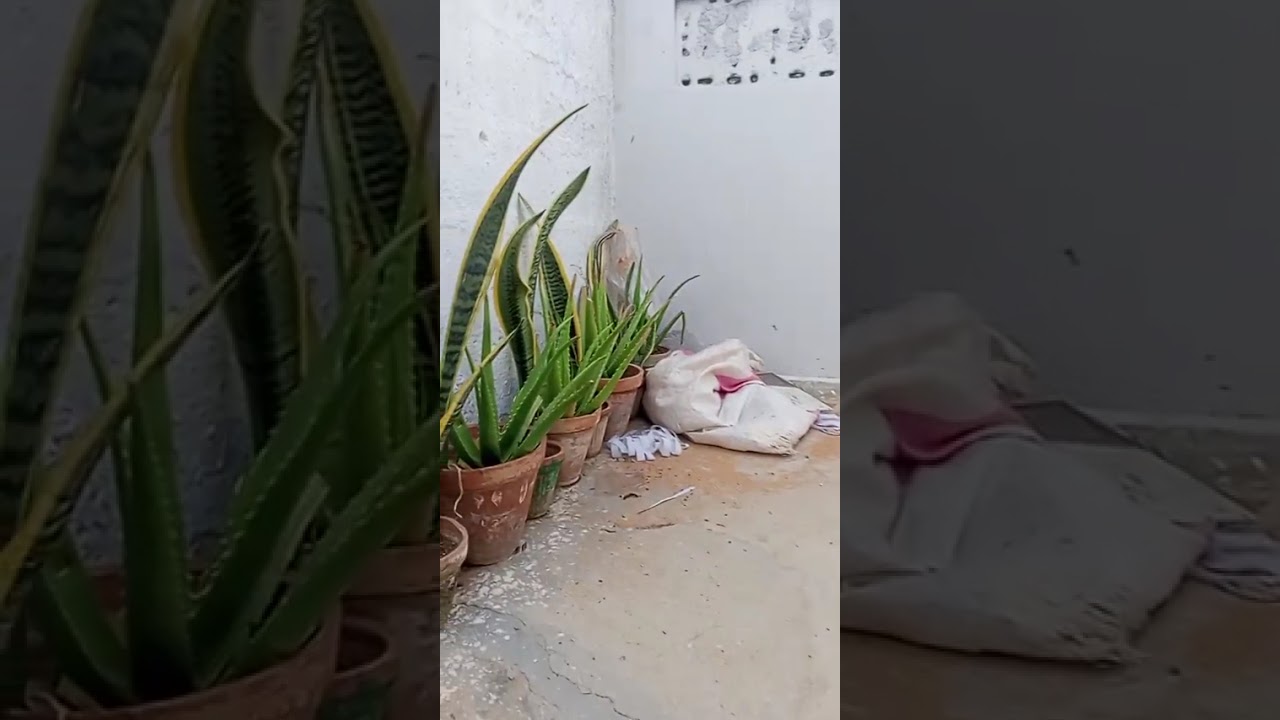 "House for sale"in korangi 2 number sector Y area ground plus 1 rcc 120 sqry demand 1 crore 90 lakh.