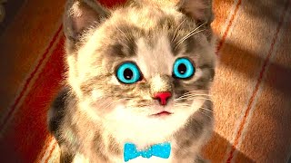 My Little Crumbs Kitten Adventure Cartoon Animation For Kids - Lovely Cat 😻 Education For Toddlers