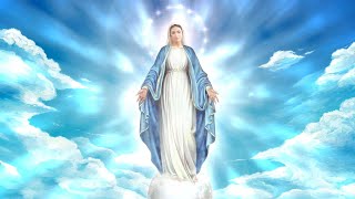 🛑 بث مباشر نهضة صوم  القديسة العذراء مريم من كنيسة القديس مارمرقس الرسول - مصر الجديدة 13 أغسطس 2023