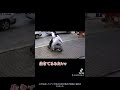まるで生きてるゴミ、、めっちゃ面白いから見てw