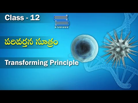 పరివర్తన సూత్రం - Transforming Principle | Molecular Basis of Inheritance | Biology Class 12 | Bipc