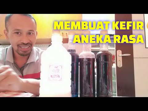 CARA MEMBUAT KEFIR RASA BUAH aneka rasa