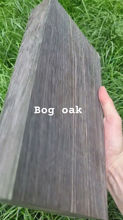 bog oak #blackwood #bogoak #wood #woodworking #exoticwood #diy #rarewood