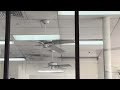 52” Hunter Coastal Breeze Ceiling Fans At The Post Office 2x