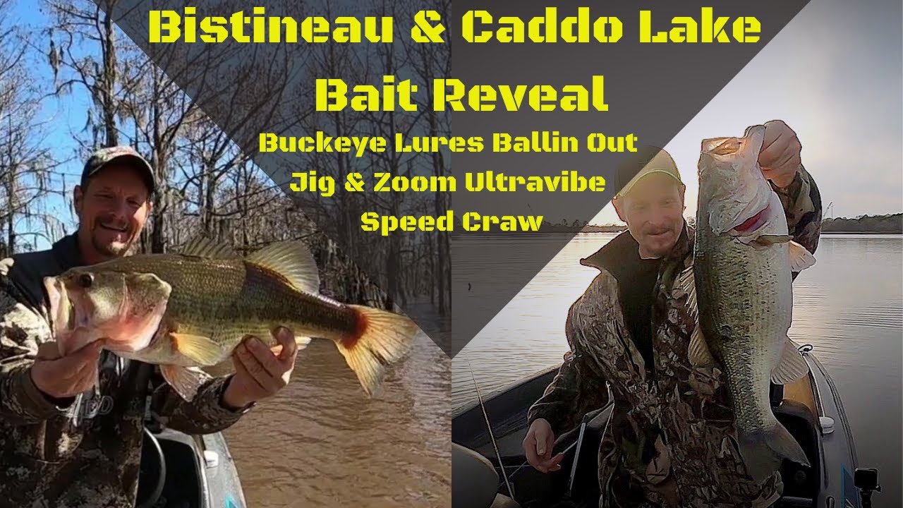 Louisiana Bistineau & Caddo Lake Bait Reveal YouTube