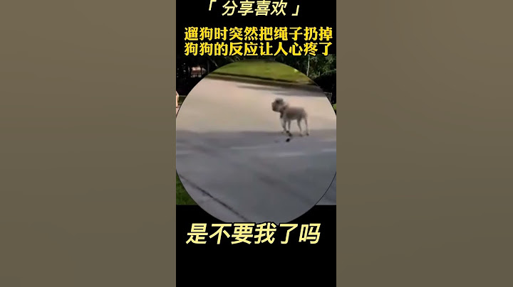 动物世界看人生百态 - 天天要闻