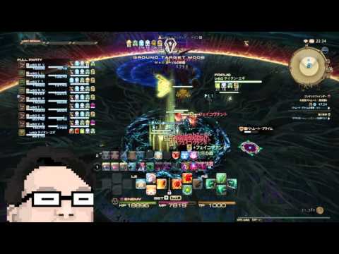 FF１４　ペット職VSバハムート