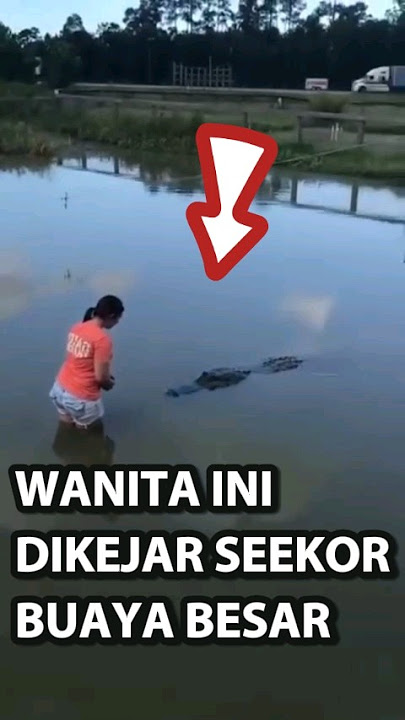 Wanita Ini Dikejar Buaya Besar #viral #shorts #trending