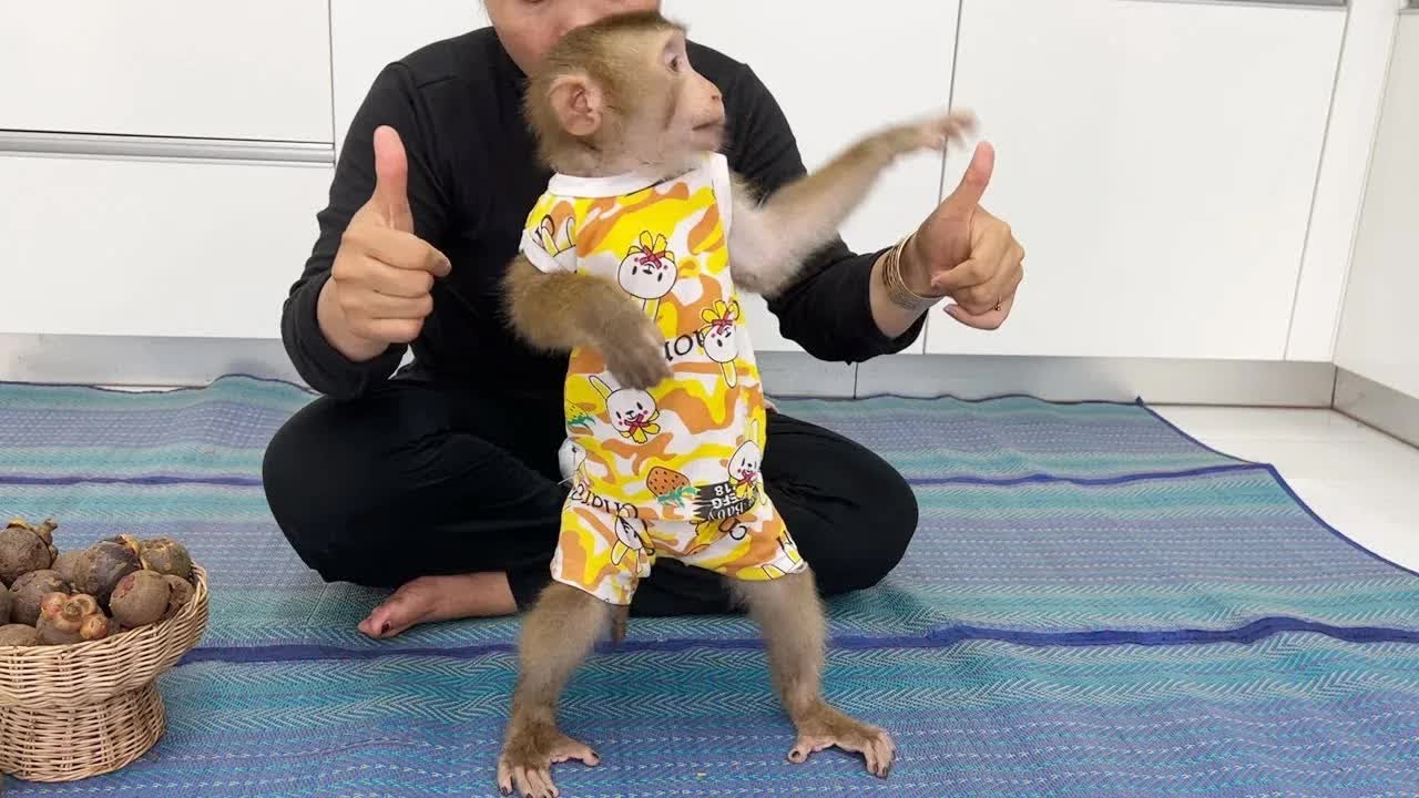 Mom Give Thumb Up For Harry Obedient Wearing Outfits