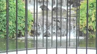 Delta Centre Pavilion and Waterfall Gardens