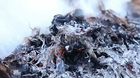 Burning Fire And Smoke | Motion Graphics - Envato elements