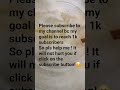 subscribe pls
