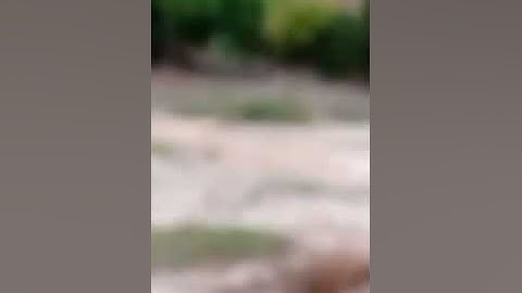 أمطار الخير ممزوجة بصوت القارئ معاذ الدويك حفظه الله ورفع قدره في الداين.