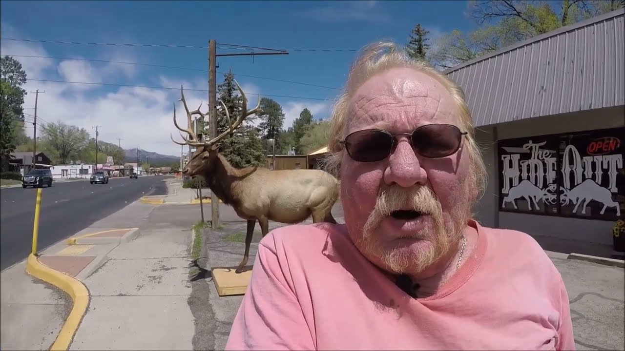 Camping in my Scamp Cheap BLM Campground Rob Jagger Exploring Ruidoso New Mexico