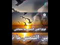 قولوا لعين الشمس ما تحماشي شادية ج١