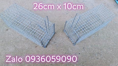 Bán lồng bẫy sóc. Bán lồng bẫy chuột cống nhum. Bán lồng bẫy sóc bông.