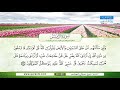 سورة الزمر تلاوة مباركة من الآية 32 إلى الآية 40 بصوت القارئ الشيخ صلاح الهاشم 