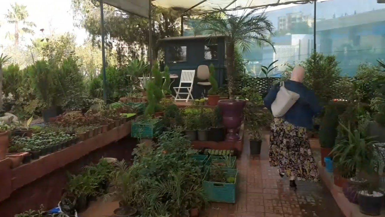 جولة في مشتل (pépinière) الاخوة حسن وعزدين ، بمدينة مكناس ، الهواء النقي