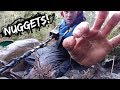 Finding Gold Nuggets with the Gold Bug II!