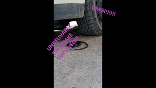 Crushing Crunchy And Soft Things By Car