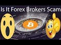 Is It Forex Brokers Scam? - ForexBrokers.Club Scam Review - Get 2.1% Daily For 15 Days