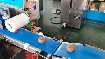 Testing video for the P160 mooncake production machine before the shipment