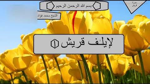 سورة قريش  سورة الماعون  سورة الكوثر   الشيخ: محمد فؤاد