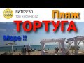 #Витязево,#Анапа Погода онлайн на море Сегодня ,Пляж Тортуга , тина есть но
