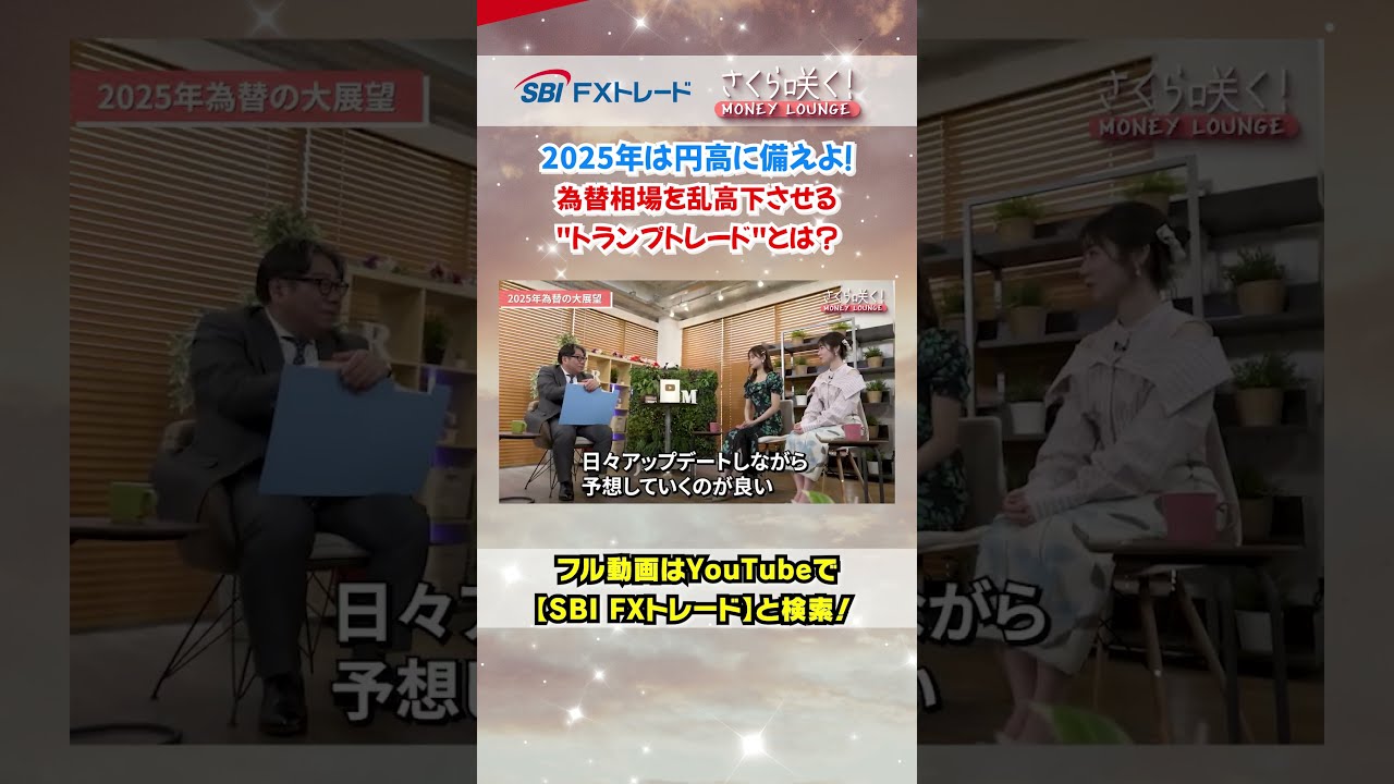 2025年は円高に備えよ！為替相場を乱高下させる