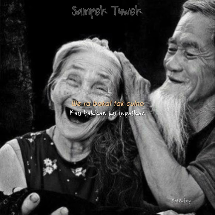 Lirik Sampek Tuwek- Denny Caknan cover | Story WA || indo terjemahan