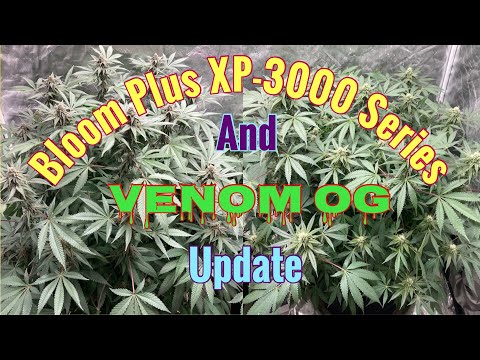 Bloom Plus XP-3000 Series and Venom OG update?☀️??✌️?