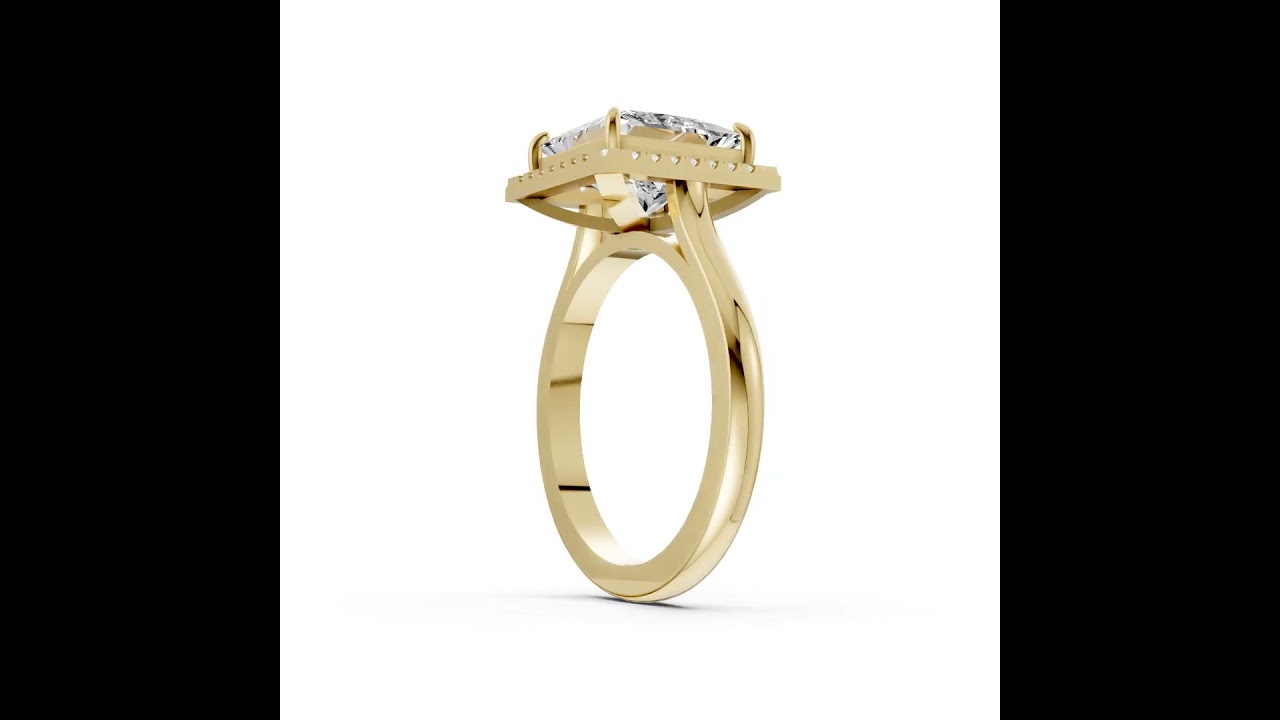 Princess Brilliant Cut Halo Diamond Cathedral Shank Ring