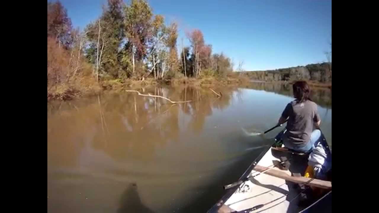 Canoeing on catawba river in duck cove YouTube