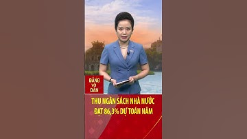 Thu ngân sách Nhà nước đạt 86,3% dự toán năm #shorts