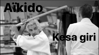Aikido - Kesa Giri, Ain By Bruno Gonzalez