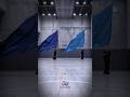 【リクエスト】ギラギラ 振ってみた #ado #ギラギラ #flag #Performance