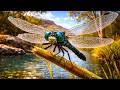 EVOLUTION FREAKS | Australia’s Animals That Shouldn’t Exist