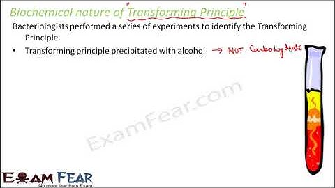 Biology Molecular Basis of Inheritance part 9 (Transforming Principle) class 12 XII