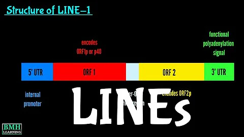 Long Interspersed Nuclear Elements  | LINEs | Repetitive DNA | - DayDayNews