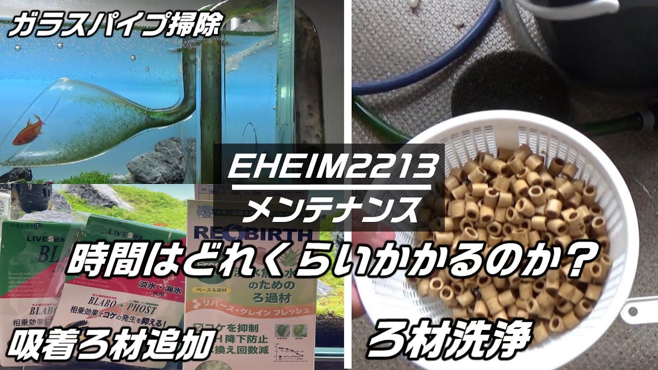 外部フィルターメンテナンス】EHIEIM2213の定期メンテ！吸着ろ材追加や