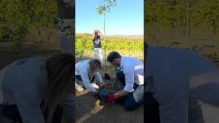 Мали: Србија је, заједно са својим домаћинима, одлучила да иде напред