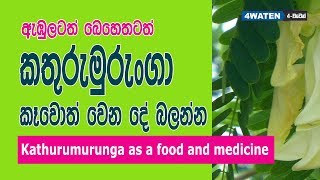 Kathurumurunga Health Benefits : කතුරුමුරුංගා කෑවොත් මොකද වෙන්නෙ