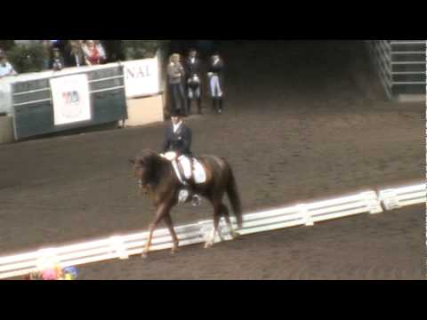 UII and Guenter Seidel FEI CDI Grand Prix Freestyle - Evening of Musical Freestyles 2011