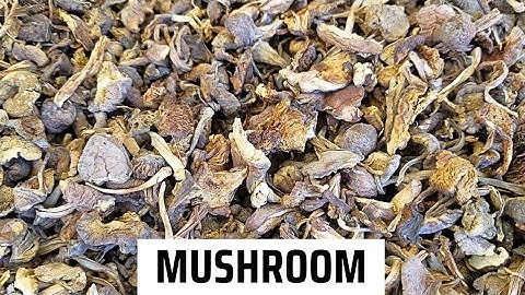 Mushroom Value Addition and How to Store Mushrooms - Mushroom recipes // African foods - African Mum