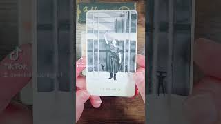 Timeless Message from the Dune Bene Gesserit Tarot #wickedmoonlight #tarotreading
✨️ For entertainment purposes only. Take what resonates.
Want to request a deck for me to review? Add it to the list:
https://docs.google.com/document/d/1d3nWcCqKpk3AO55dbs9w2Dmg4hMKC8PDE3I5GiYjgAI/edit?usp=sharing
☕ If Youd Like to Show Your Support:
Ko-Fi:
https://ko-fi.com/wickedmoonlight
PayPal:
https://paypal.me/wickedmoonlight1?locale.x=en_US
Venmo:
https://venmo.com/u/wickedmoonlight
Patreon: https://www.patreon.com/WickedMoonlight
Join this channel to get access to perks:
https://www.youtube.com/channel/UCIF_aVLZuUDDxYfh3qxAKNQ/join
🔮 Wicked Moonlight Merch is here!
Www.wickedmoonlight.com
📷 Follow Me: https://linktr.ee/WickedMoonlight
💌 Want to send me something?
10940 Trinity Parkway Ste C-312
Stockton, CA 95219
*Affiliate Links (as an affiliate, I earn a small commission from these links)
Z Gallerie:
https://www.pjtra.com/t/TUJGR0lGSUJHSktKTktCR0VKRUpI
Spencers Gifts:
https://www.pntra.com/t/TUJGRU5MSEJHSktKTktCRklGRUpK
Spirit Halloween:
https://www.pjatr.com/t/TUJGRU5MSkJHSktKTktCRklGRUpM
Fimstock Editing Help:
https://filmstock.wondershare.com/referral-landingpage-campaign.html?frm=16a28464
📦My Amazon Storefront:
https://www.amazon.com/shop/wickedmoonlight
My Public Amazon Wish List (since a lot of you have asked):
https://www.amazon.com/hz/wishlist/ls/2CQ1FQMN6Q518?ref wl_share
#wickedmoonlight Timeless Message from the Dune Bene Gesserit Tarot #wickedmoonlight #tarotreading